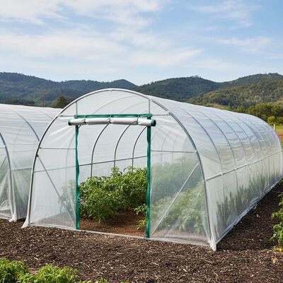 Cold Rolled Greenhouse Tunnels With Zippered Door For Optimal Crop Protection