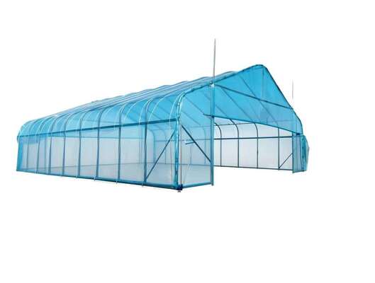 Customizable Greenhouse Tunnels Rectangular Section Shape Length 1-12m Invoiced by Theoretical Weight