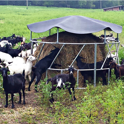 Cattle Feeding Galvanized Livestock Fencing Hay Feeder Powder Coated