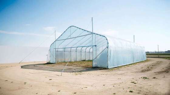 High Quality Galvanized Frame Tunnel Ventilation Single-Span Factory Price Hot Galvanized Steel Frame Plastic Sheet Single Span Greenhouse Tunnel Greenhouse for Agricultural Vegetable